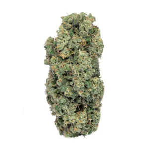 Image of Soma OG 32/1 Spritzer