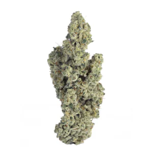 Image of Soma OG 34/1 PF