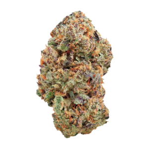 Image of AMP ACT-GM TCG THC 20