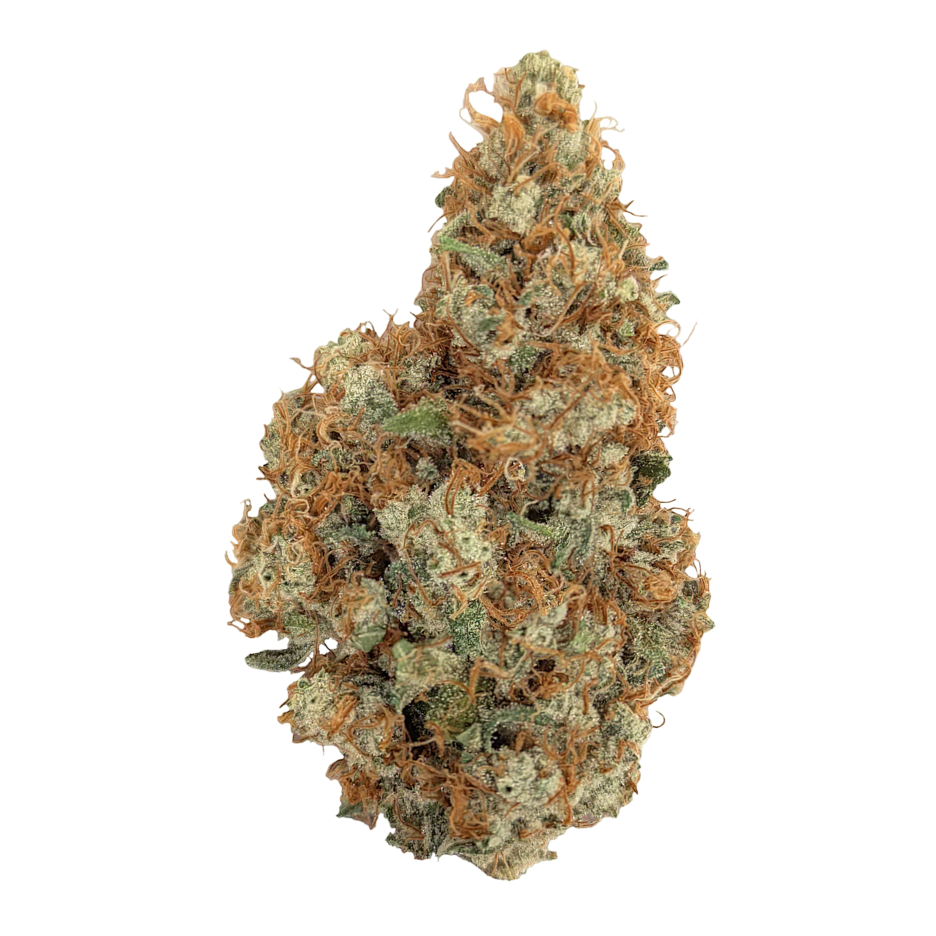 IMC K18 CBD13 Mids Produktfoto