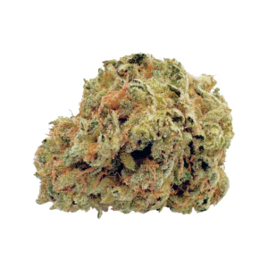 Image of Bathera 24/1 DB