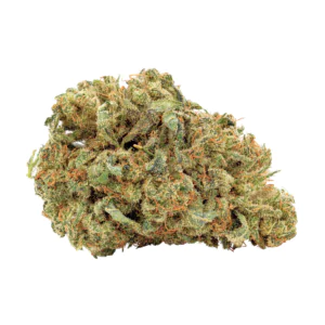 Image of IMC PBG THC25