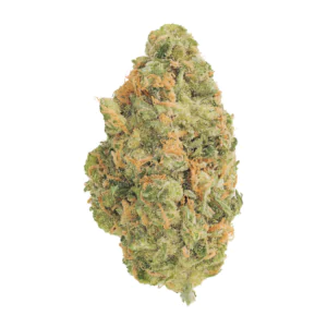 Image of Beyond Bloom GWRTZ 22/1