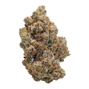 Image of Cannovum Apex PMK-PT 24/1