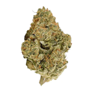 Image of Demecan GT Strong Drop 27:01 – CC x BK