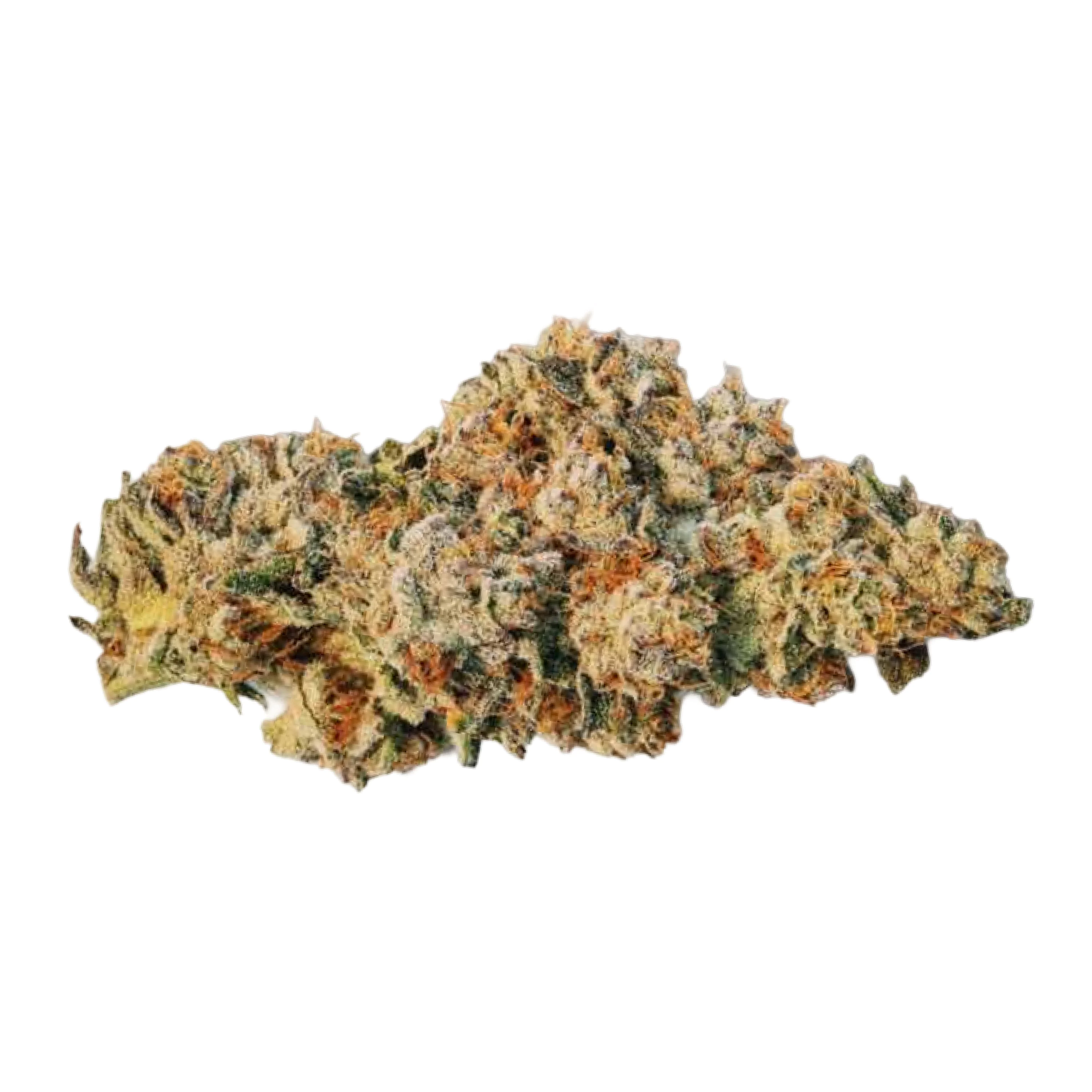 Image of 30/1 Amici CRL