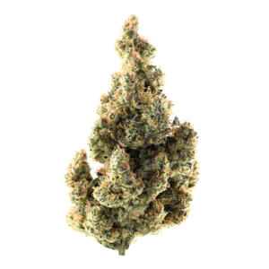 Image of Demecan PG Strong Drop 30:01
