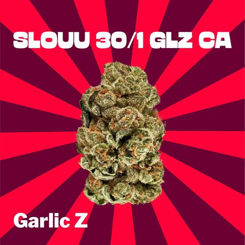 Image of slouu 30/1 GLZ CA