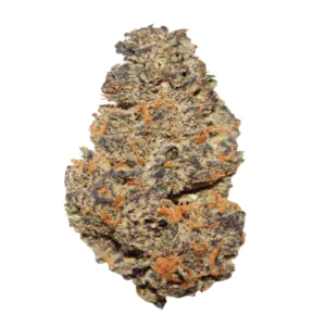 Image of BC Green 30/1 PG