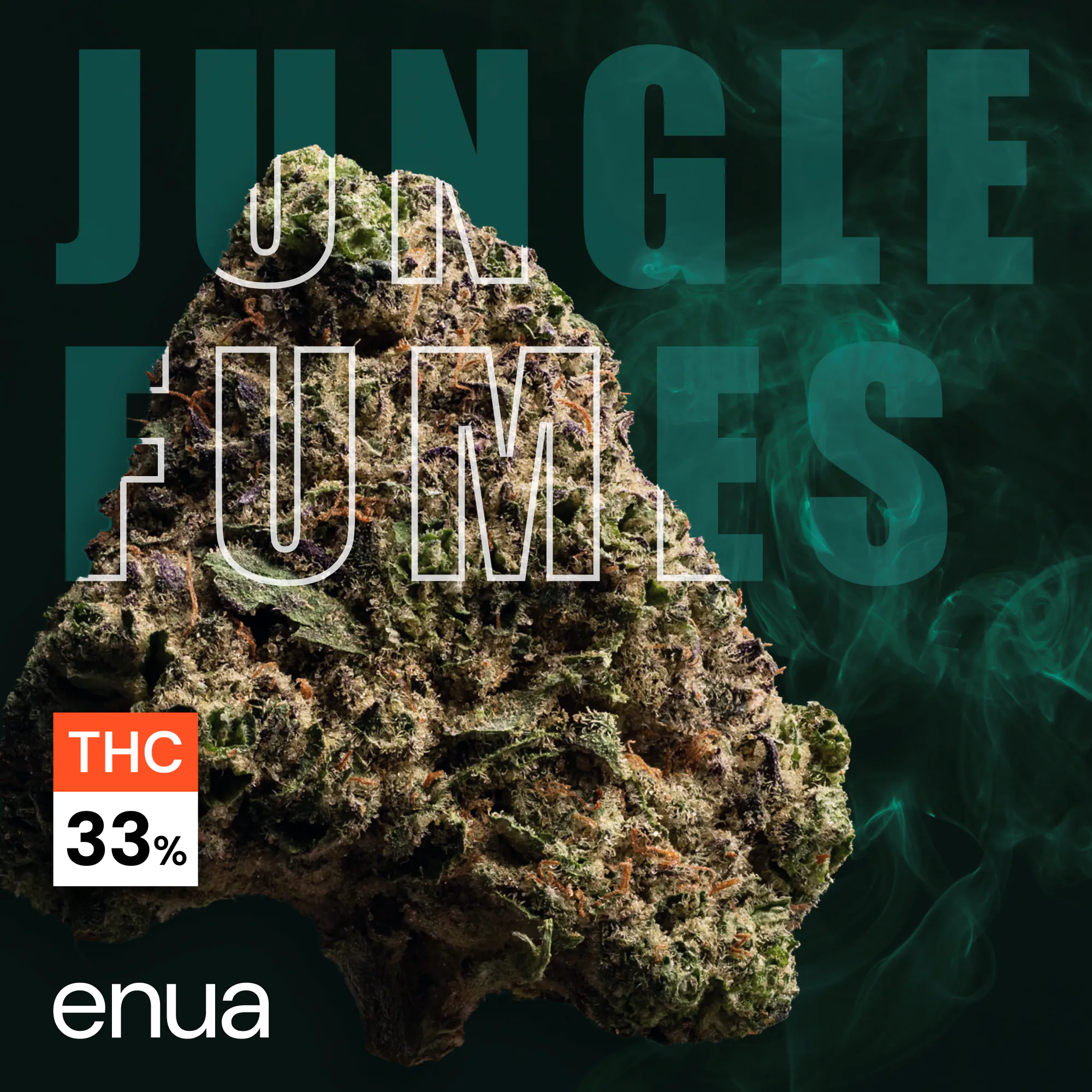 Image of enua 33/1 JGF CA