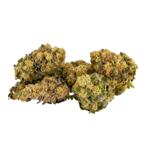 Image of slouu 20/1 CRL CA