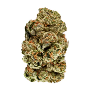 Image of slouu 30/1 GLZ CA