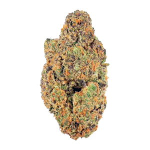 Image of Nimbus easy 22/1 Jealousy