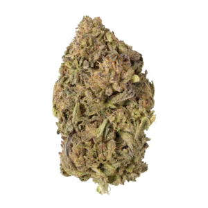 Image of Demecan PG Epic Drop 30:01