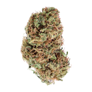 Image of 420 Evolution 25/1 CA STR