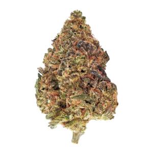 Image of Barongo 26/1 PUC