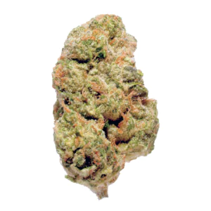 Image of enua 22/1 SBB CA