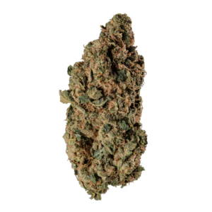 Image of 420 Evolution 27/1 CA PGM
