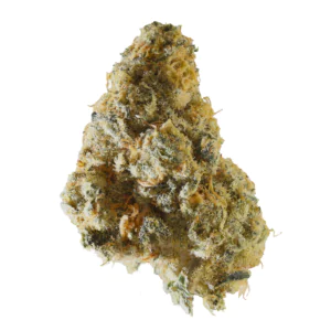 Image of Gestion Cannabec OS
