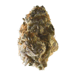 Image of Gestion Cannabec PC
