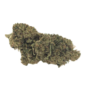 Image of Cannabis Flos 23/1 CSF Ku. Rose Ember
