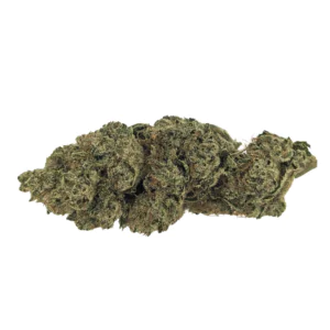 Image of Cannabis Flos 28/1 CSF Ku. Solpina Magic