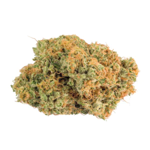 Image of IMC Selected TF THC26