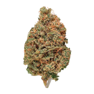 Image of BG 15 PBH COL