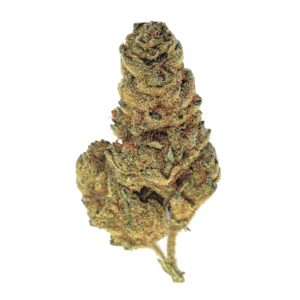 Image of slouu 29/1 EG CA