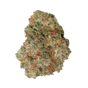 Image of BC Green 20/1 T7