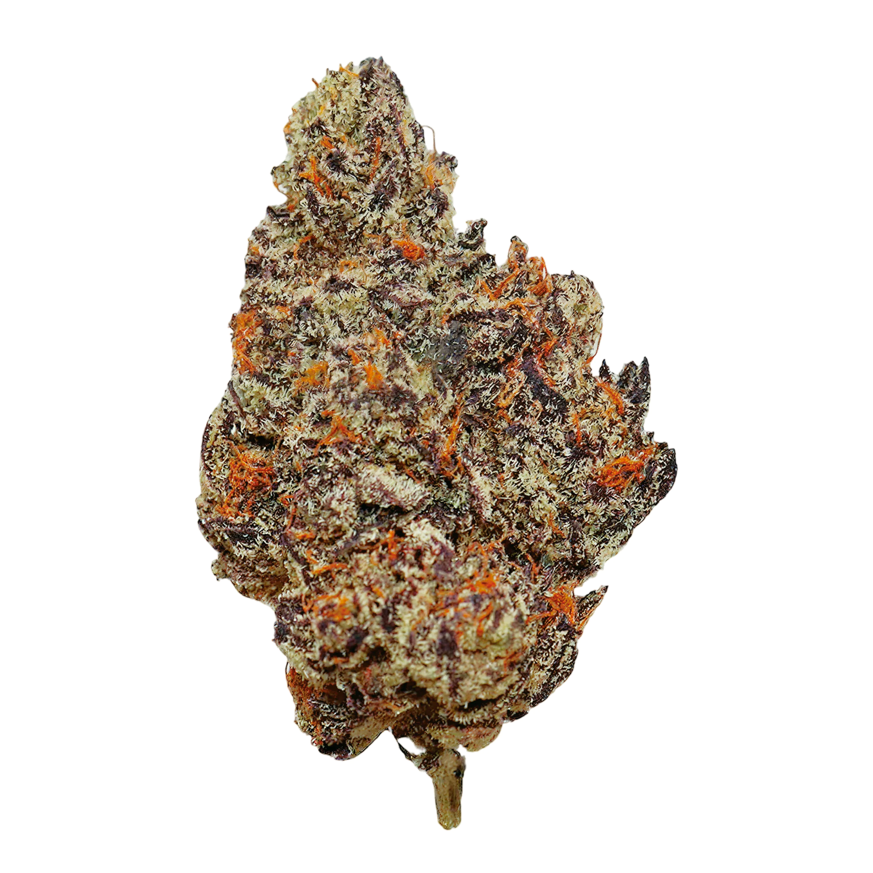 BG 22 GPG COL Grape Gasoline Produktfoto