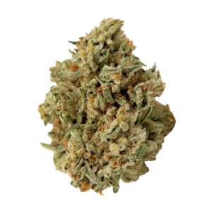 Image of Hi Society MM 26/1