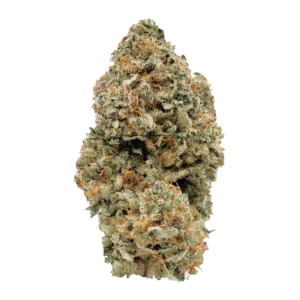 Image of ZOIKS 26/1 GCK