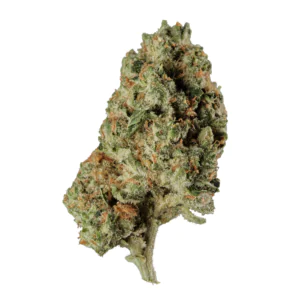 Image of 420 Compound 30/1 CA PPE