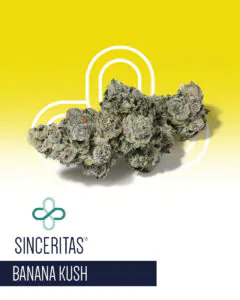 Image of Sinceritas Verum 24/1 BK