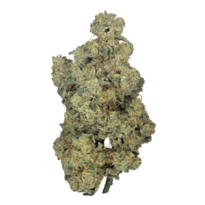 Image of Cookies 2.0 Medellin 26/1 CAN