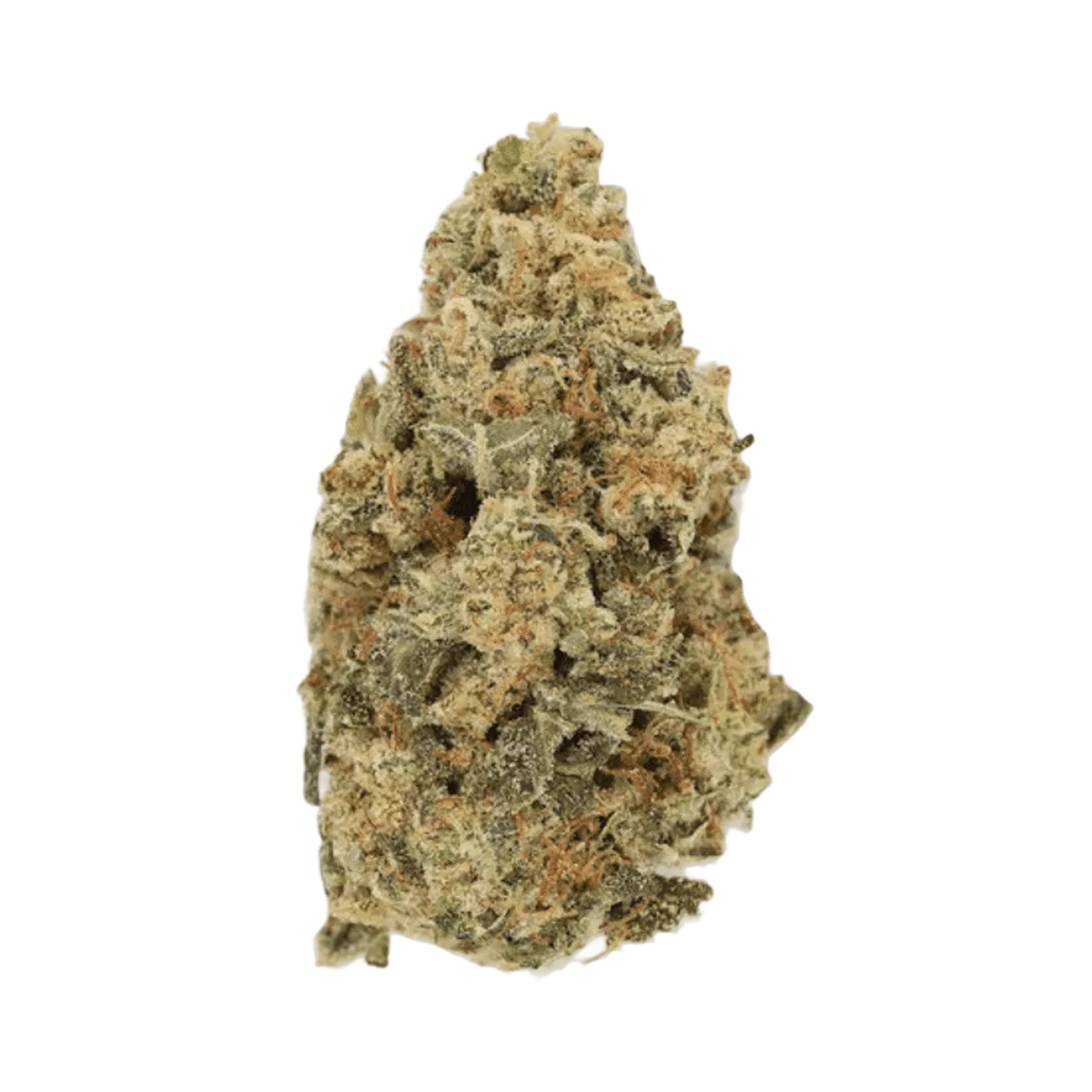 Image of Luana 24/1 Durban Poison