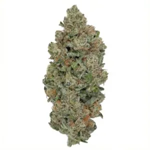 Image of NICE 33/1 OZK