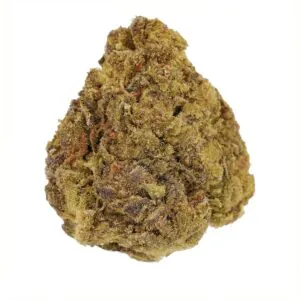Image of CM 24/1 Rainbow Cookies