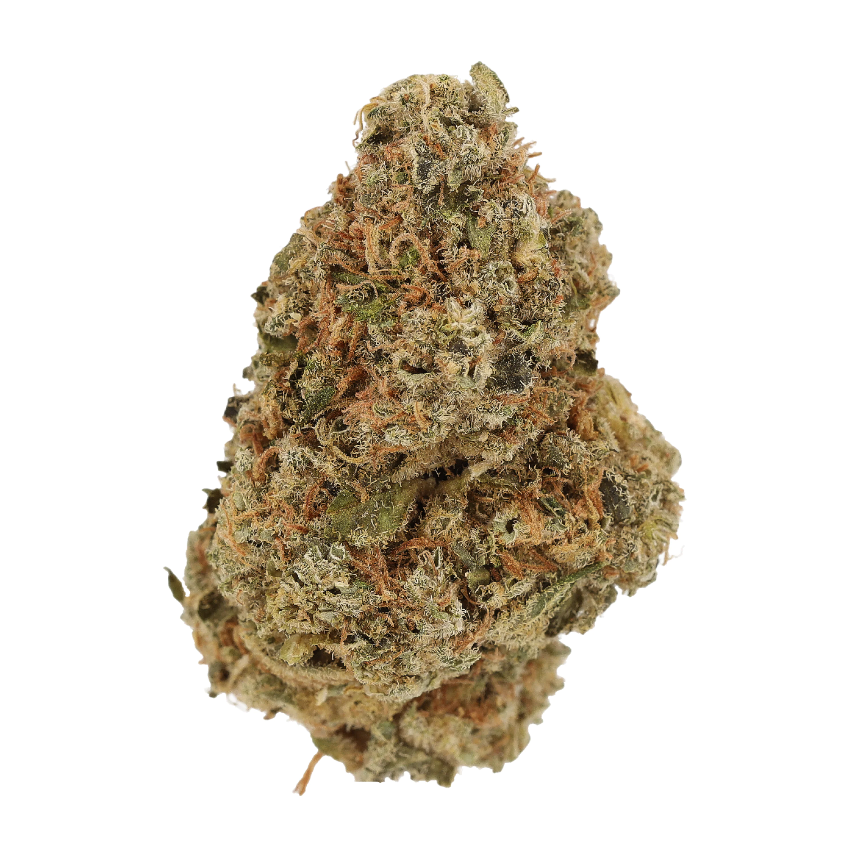 Image of Cannamedical Hybrid Forte KA SCD