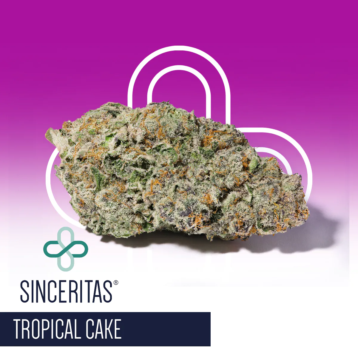 Image of Sinceritas Sativa Verum 24/1 TC