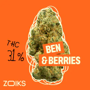 Image of ZOIKS 31/1 BB