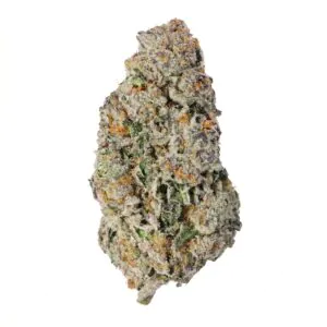 Image of Sinceritas Sativa Verum 24/1 TC