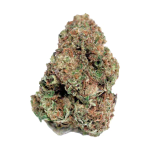 Image of Medical Saints 27/1 DBU