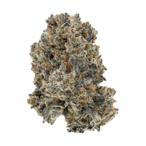 Image of Fire Gold 33/1 WCR