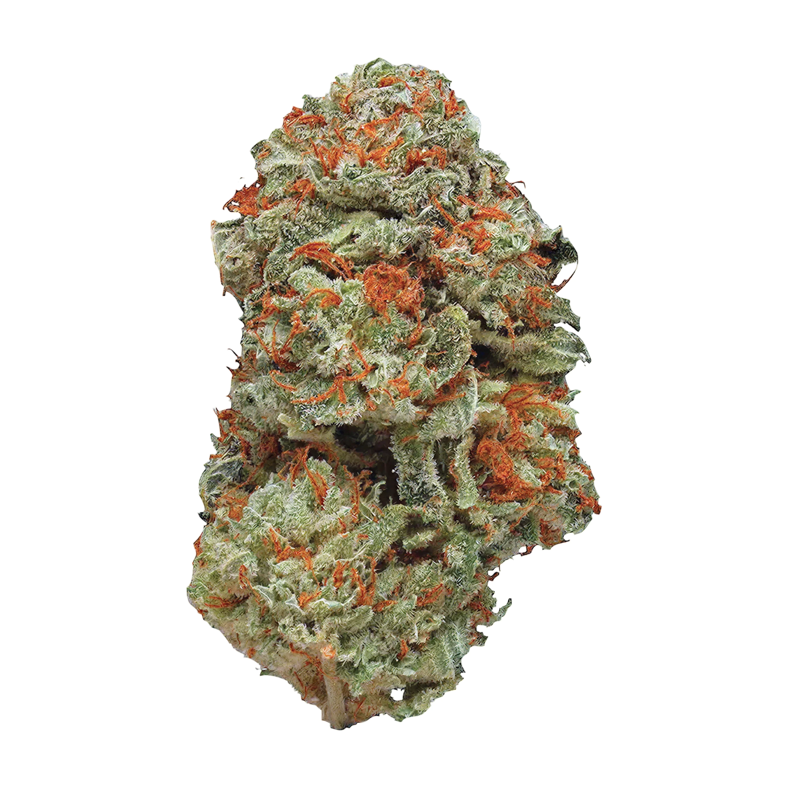 Image of Beacon CC T30