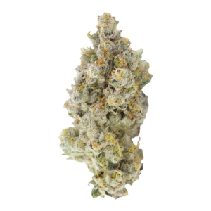 Image of Fast Leaf 24/1 ICW