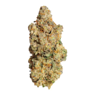 Image of Breezy Organics RB 22/1