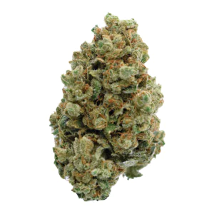 Image of Remexian 33/1 MTL LRZ