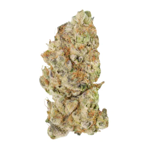 Image of TRUU HS 21:01 Rainbow Dawg
